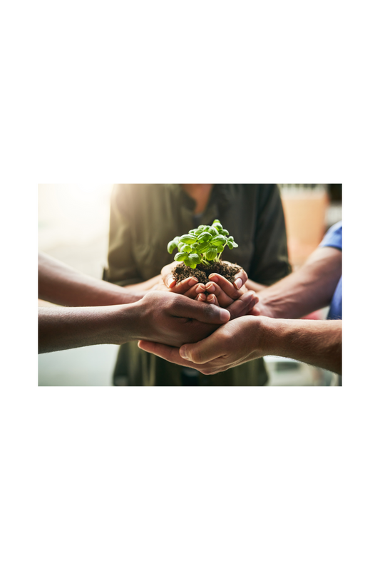 Green Resolutions: A New Year's Commitment to Reduce Your Carbon Footprint