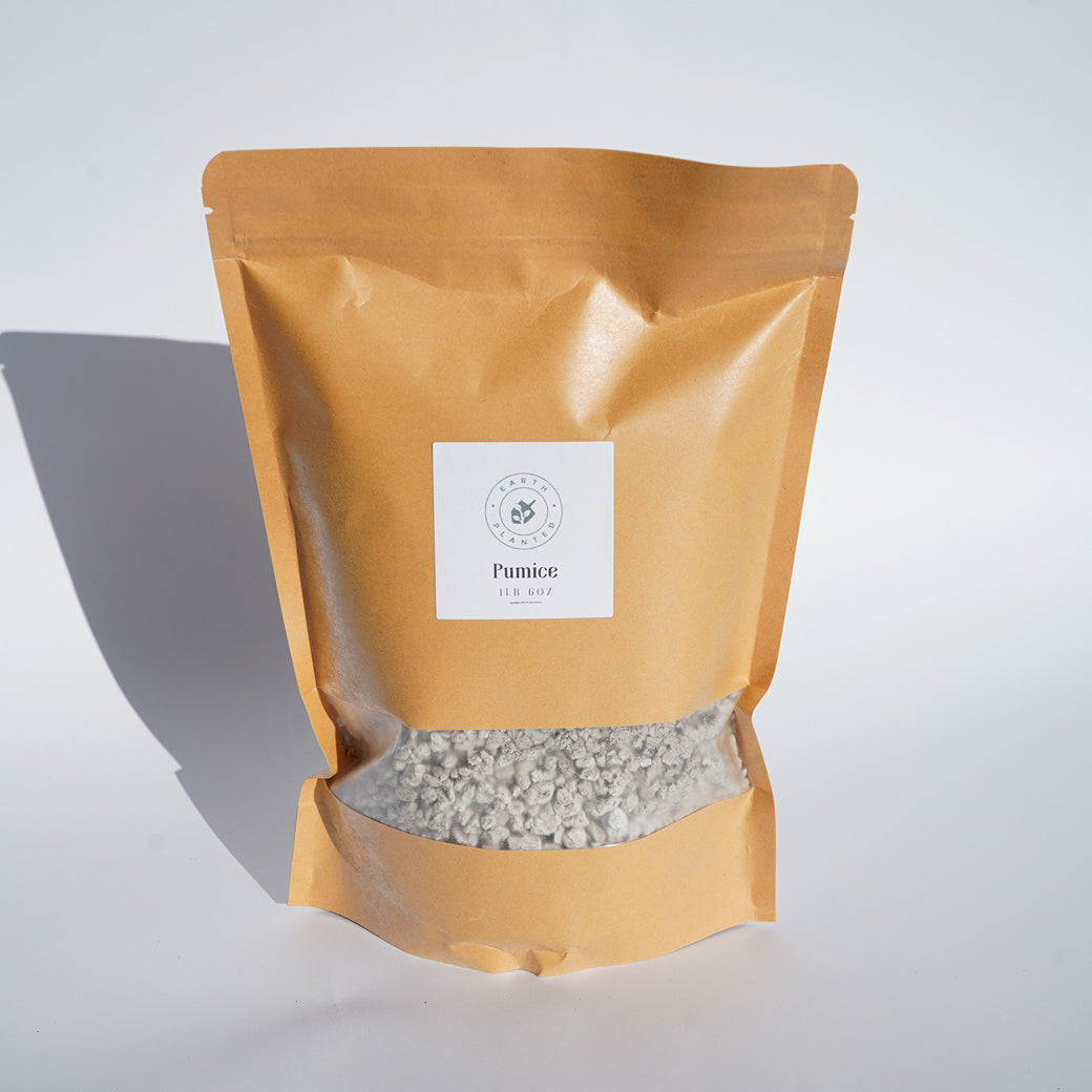 Pumice 1lb 6oz Bag