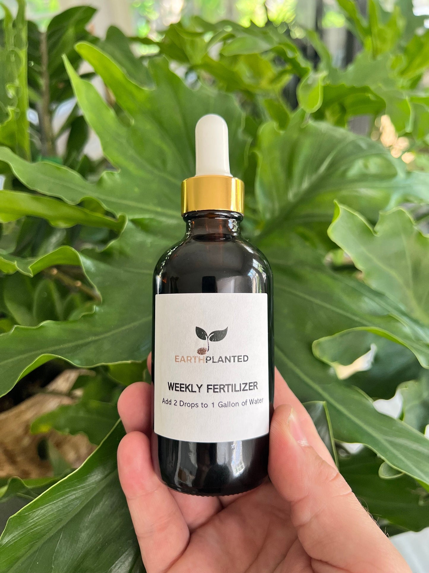 Weekly Plant Fertilizer